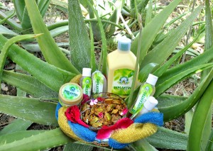 Aloe Vera products from the small scale industries