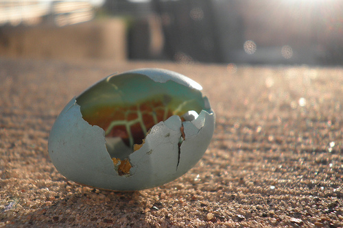 Ever feel like you're walking on cultural egg shells?