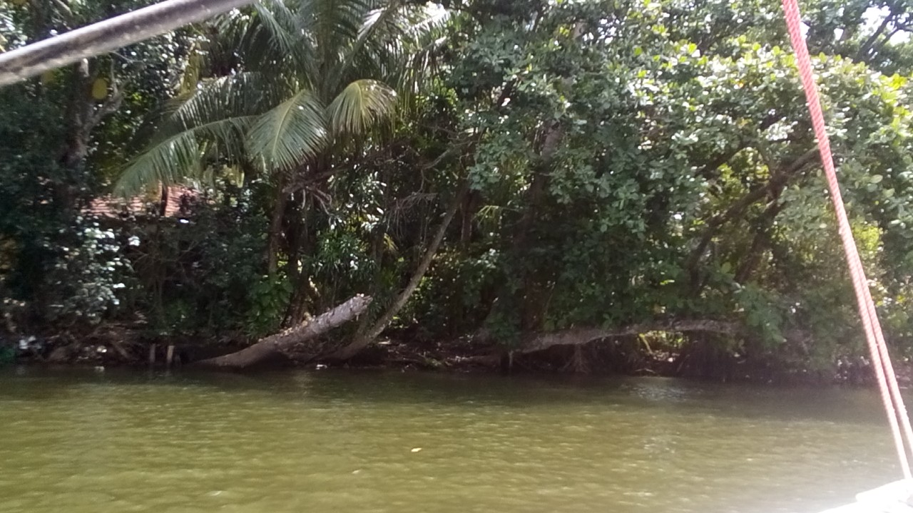 Cruising on Madu River