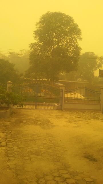 The Haze in Indonesia